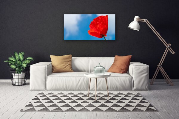 Quadro su tela Tulipano Sul Muro 100x50 cm