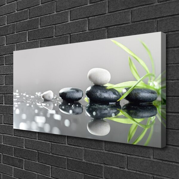 Quadro stampa su tela Pietre della stazione termale dell'erba zen 100x50 cm