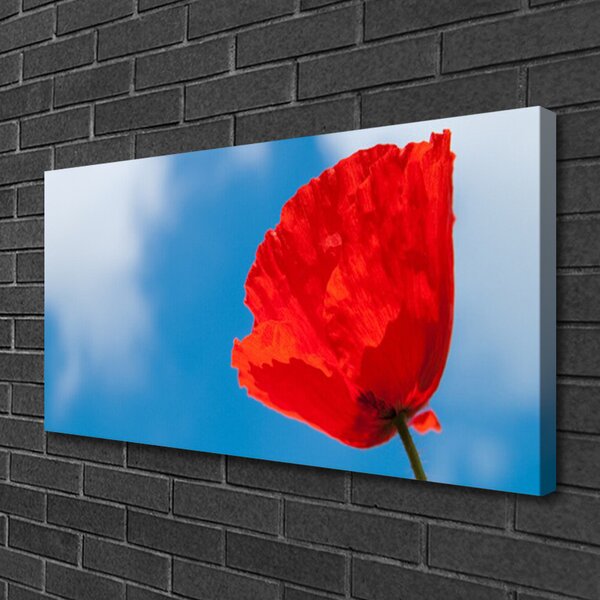 Quadro su tela Tulipano Sul Muro 100x50 cm