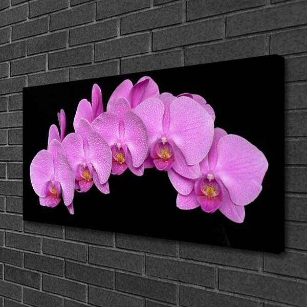 Quadro su tela Fiori Sul Muro 100x50 cm
