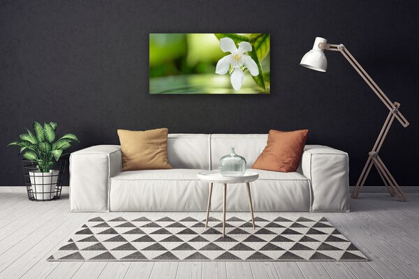 Quadro su tela Foglie di fiori 100x50 cm