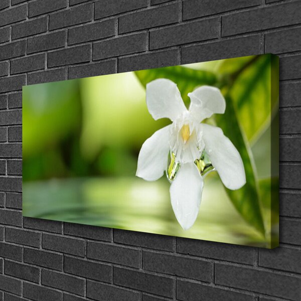 Quadro su tela Foglie di fiori 100x50 cm