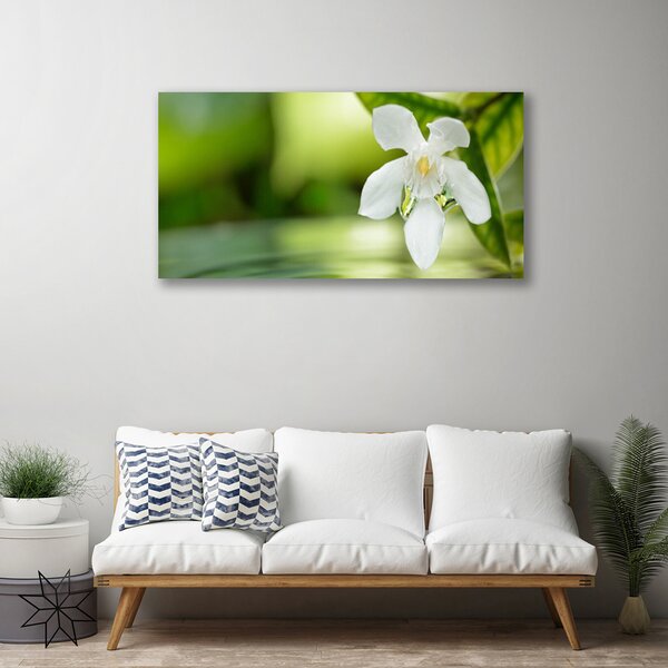 Quadro su tela Foglie di fiori 100x50 cm