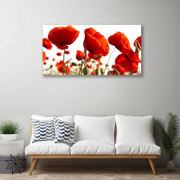 Quadro su tela Fiori di tulipani 100x50 cm