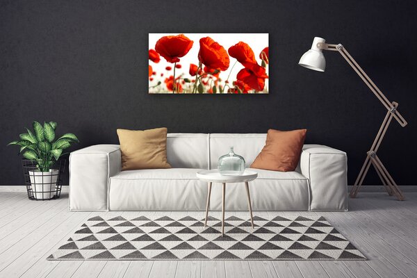 Quadro su tela Fiori di tulipani 100x50 cm