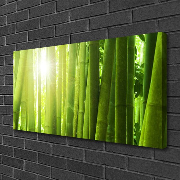 Quadro su tela La pianta di bambù 100x50 cm
