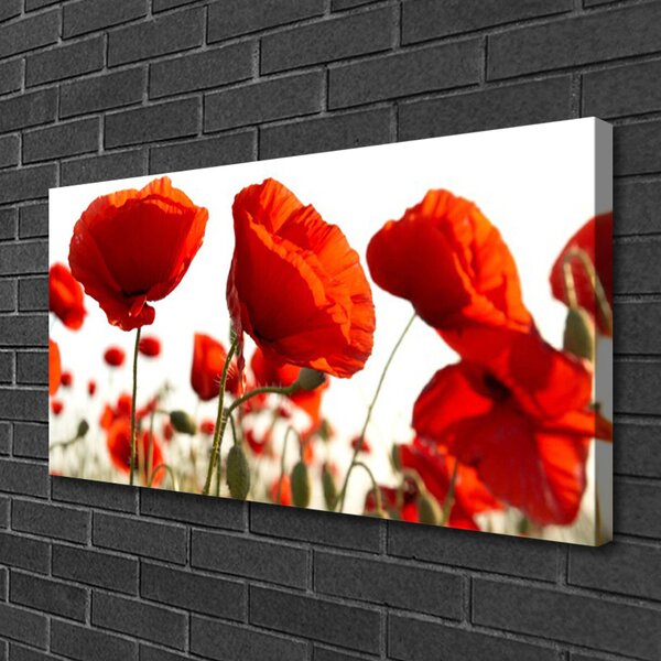 Quadro su tela Fiori di tulipani 100x50 cm