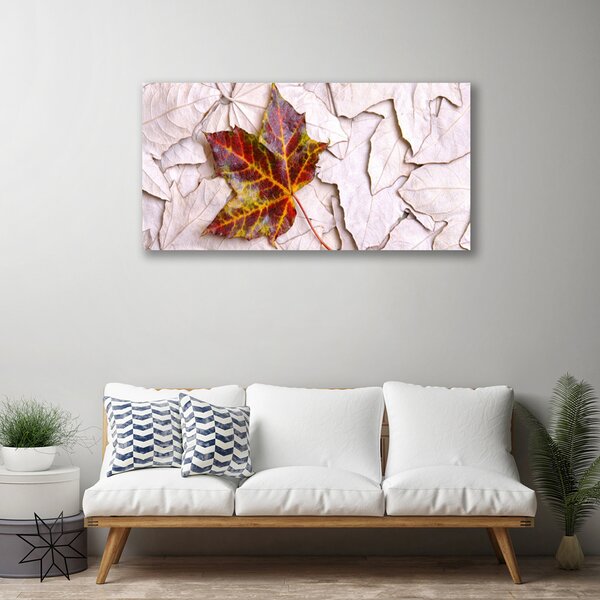 Quadro su tela Foglie di piante 100x50 cm