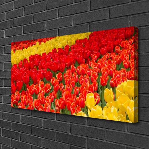Quadro su tela Fiori di tulipani 100x50 cm