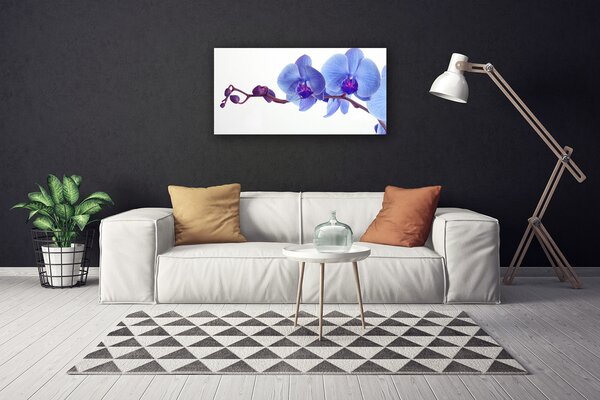 Quadro su tela I fiori della pianta 100x50 cm