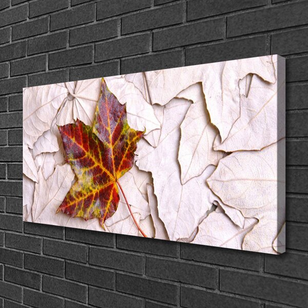 Quadro su tela Foglie di piante 100x50 cm