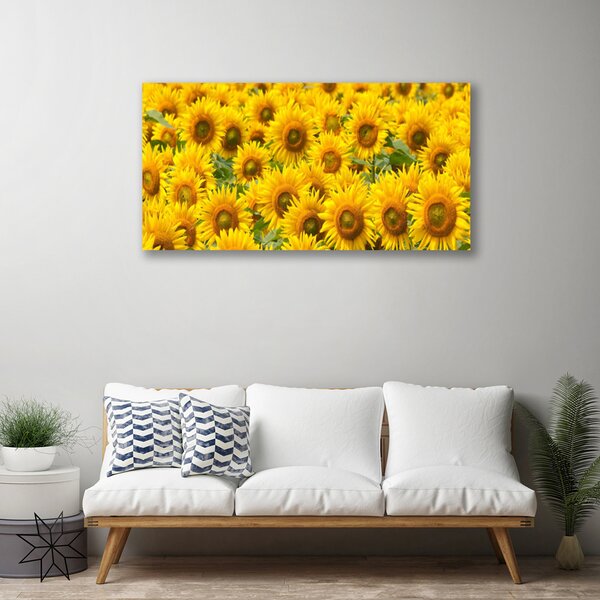 Quadro su tela Natura della pianta del girasole 100x50 cm