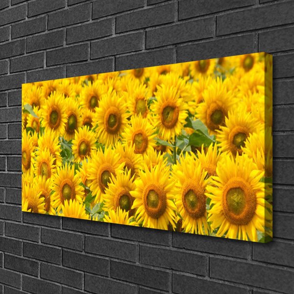 Quadro su tela Natura della pianta del girasole 100x50 cm