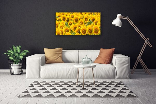 Quadro su tela Natura della pianta del girasole 100x50 cm