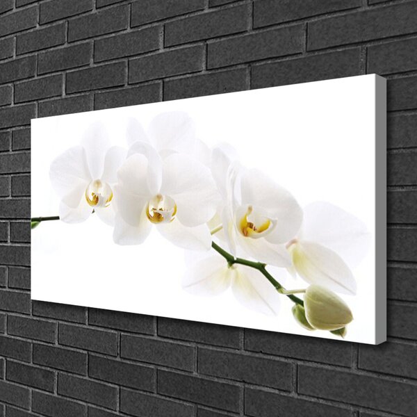 Quadro su tela Fiori di orchidea 100x50 cm