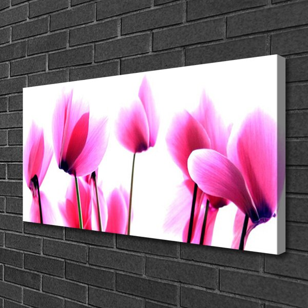 Quadro su tela I fiori della pianta 100x50 cm
