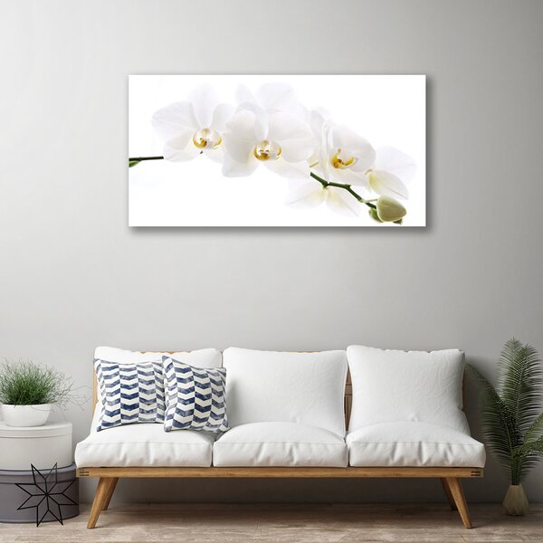 Quadro su tela Fiori di orchidea 100x50 cm