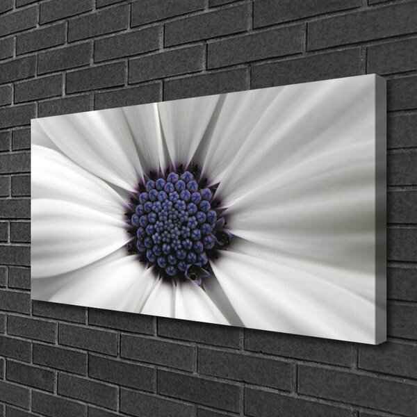 Stampa quadro su tela I fiori della pianta 100x50 cm