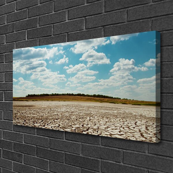 Quadro su tela Paesaggio di sabbia del deserto 100x50 cm