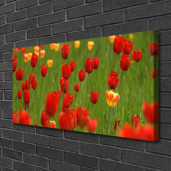 Quadro su tela Tulipani Pianta 100x50 cm