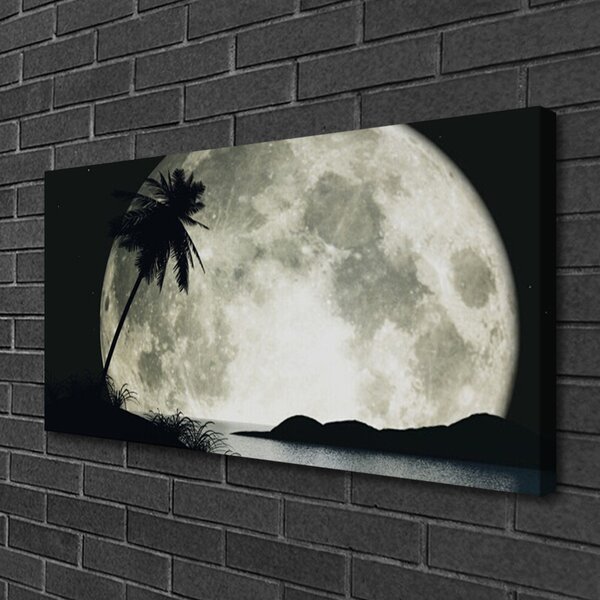 Quadro su tela Paesaggio delle palme della luna notturna 100x50 cm