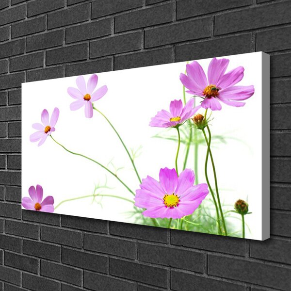 Quadro su tela I fiori della pianta 100x50 cm