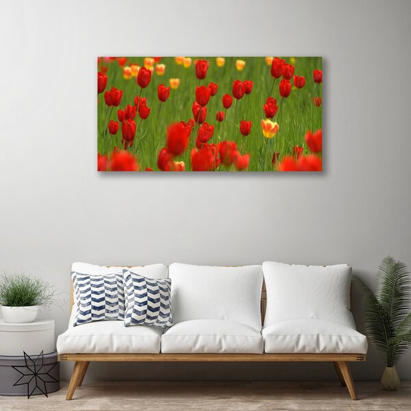 Quadro su tela Tulipani Pianta 100x50 cm