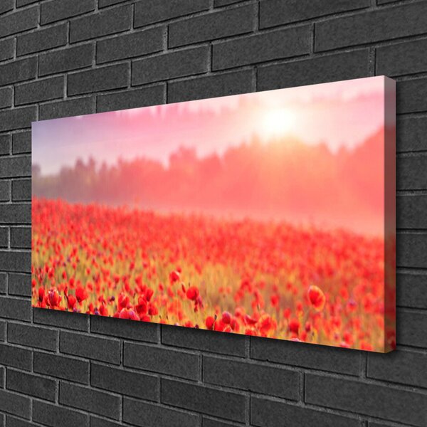 Quadro stampa su tela Prato, fiori, natura 100x50 cm
