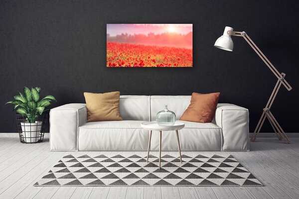 Quadro stampa su tela Prato, fiori, natura 100x50 cm
