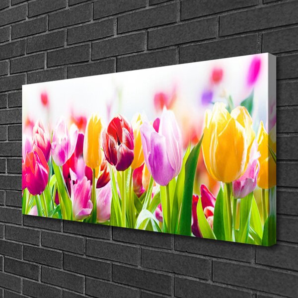 Foto quadro su tela Fiori di tulipani 100x50 cm