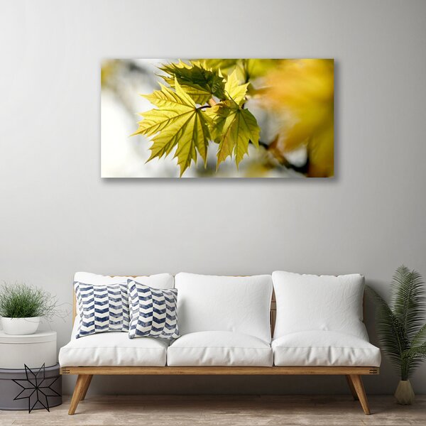 Quadro su tela Foglie di piante 100x50 cm