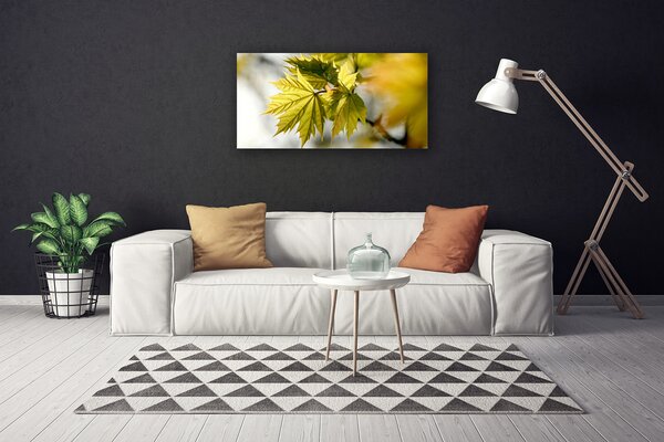 Quadro su tela Foglie di piante 100x50 cm
