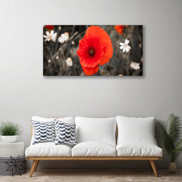 Quadro su tela I fiori della pianta 100x50 cm