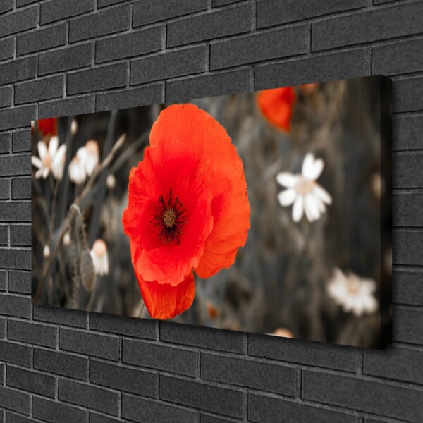 Quadro su tela I fiori della pianta 100x50 cm