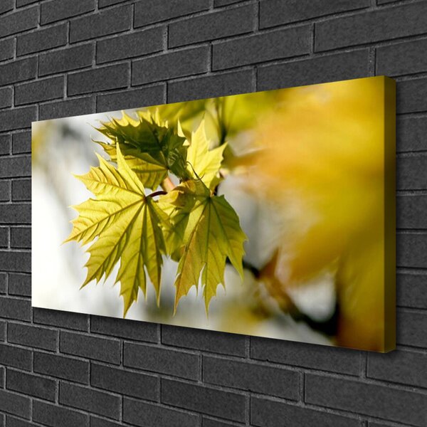 Quadro su tela Foglie di piante 100x50 cm