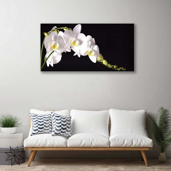 Foto quadro su tela I fiori della pianta 100x50 cm