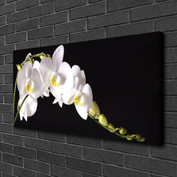 Foto quadro su tela I fiori della pianta 100x50 cm