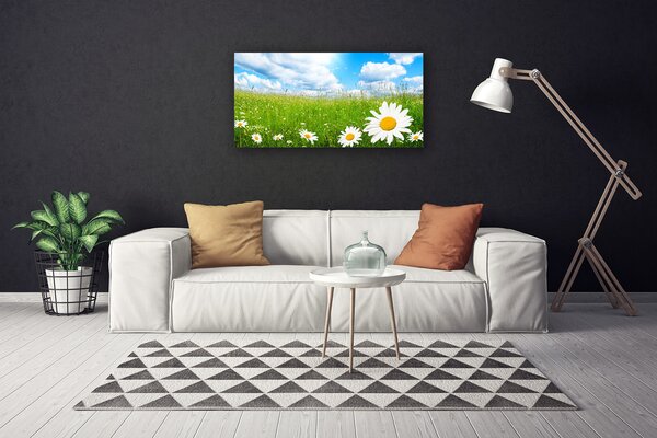 Quadro stampa su tela Daisy Erba Natura 100x50 cm