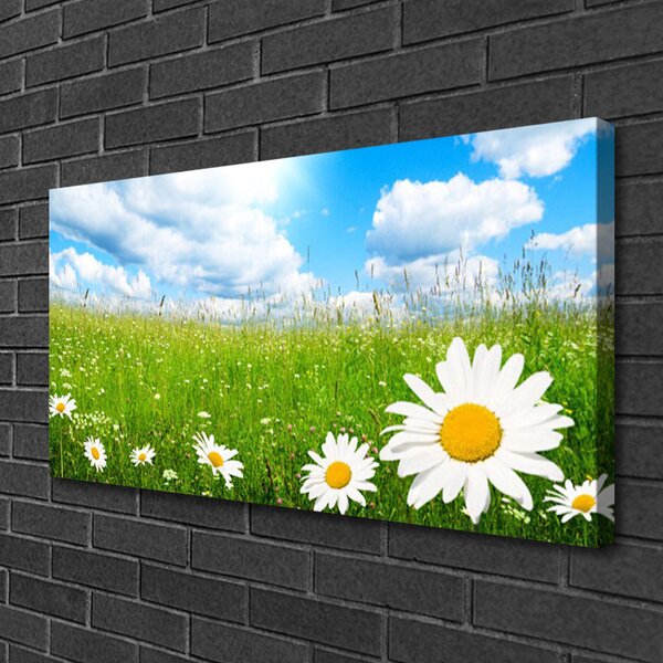 Quadro stampa su tela Daisy Erba Natura 100x50 cm