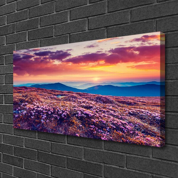 Quadro su tela Prato, montagna, fiori, natura 100x50 cm