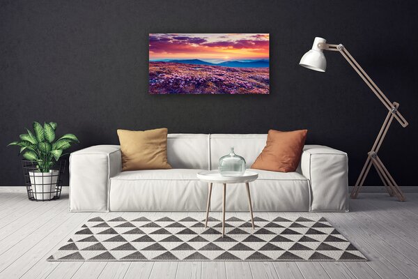 Quadro su tela Prato, montagna, fiori, natura 100x50 cm