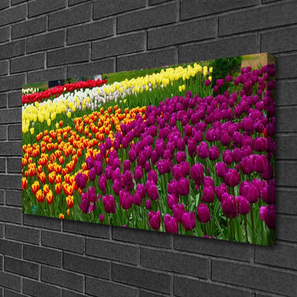 Quadro su tela Fiori di tulipani 100x50 cm