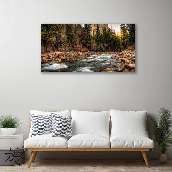Quadro su tela Foresta. Lago. Natura. Acqua 100x50 cm