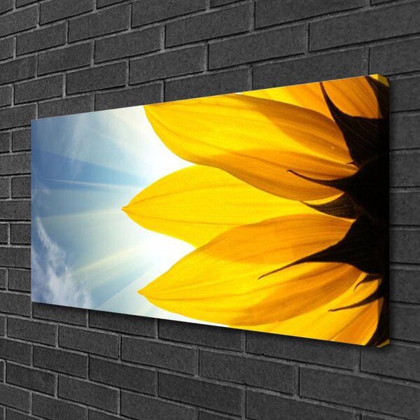 Quadro su tela Petali di piante 100x50 cm