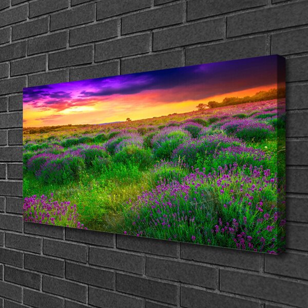 Quadro su tela Prato Natura 100x50 cm