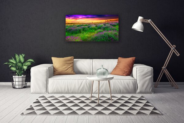Quadro su tela Prato Natura 100x50 cm