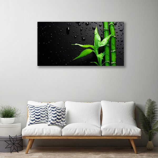 Quadro su tela Foglie di bambù Pianta 100x50 cm