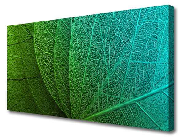 Quadro su tela Foglie astratte di una pianta 100x50 cm