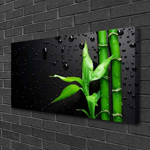 Quadro su tela Foglie di bambù Pianta 100x50 cm