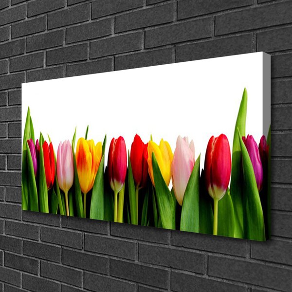 Quadro su tela Tulipani Pianta 100x50 cm